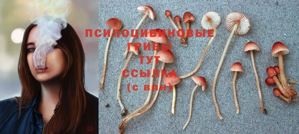 таблы Новодвинск