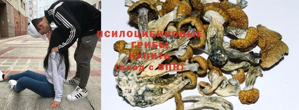 герыч Абинск