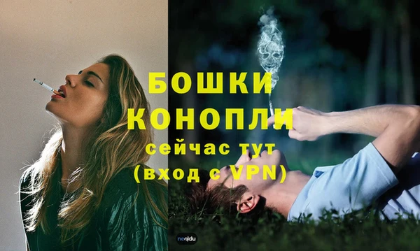 мяу мяу мука Абаза