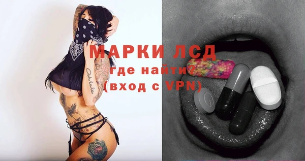 мяу мяу мука Абаза