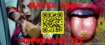 мдпв Камышлов