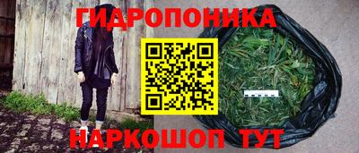 мдпв Камышлов